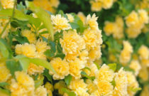 アートデザイン療育 6期目のスタート🌸