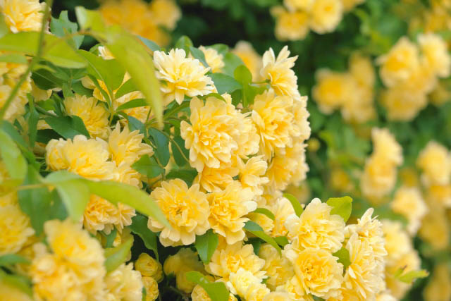 アートデザイン療育 6期目のスタート🌸